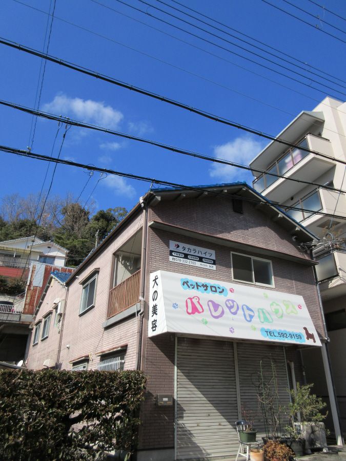 ���Ɍ��_�ˎs�k��闖��k��4���ڂ̃A�p�[�g�̌����O��